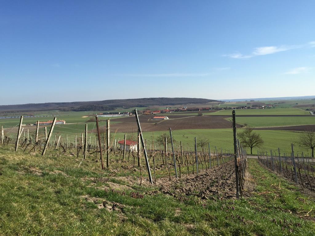 Landgasthof Zum Schwarzen Adler Markt Nordheim Екстер'єр фото